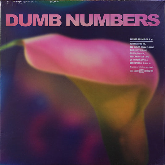 Dumb Numbers - Dumb Numbers
