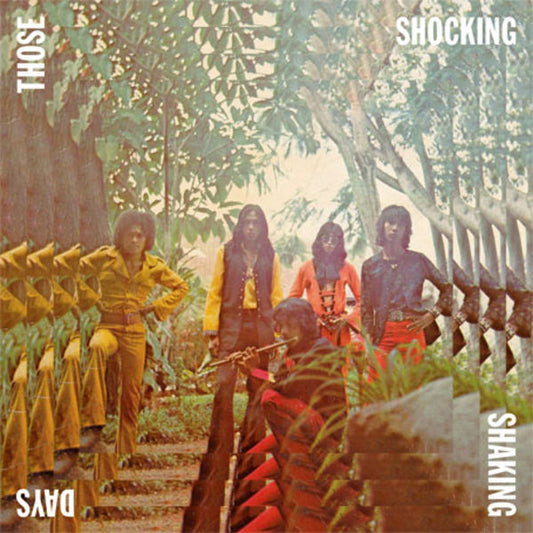 Various Artists - Those Shocking Shaking Days