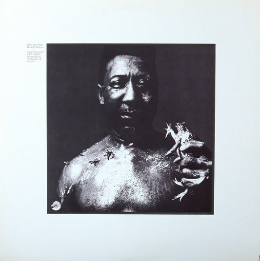 Muddy Waters - After The Rain