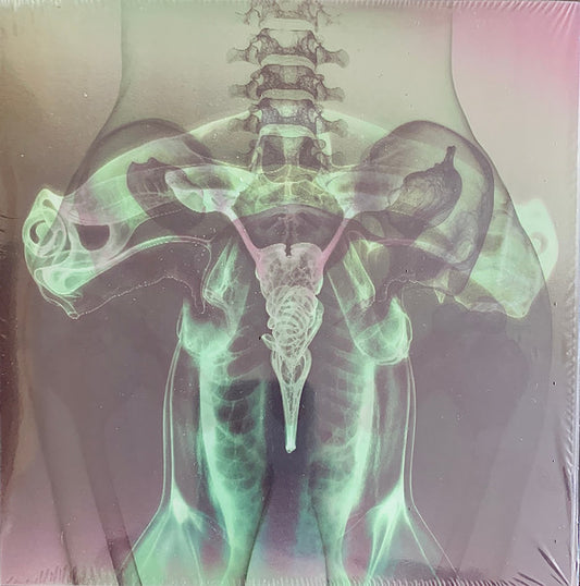 Eartheater & Shygirl - Shark Brain / Dolphin