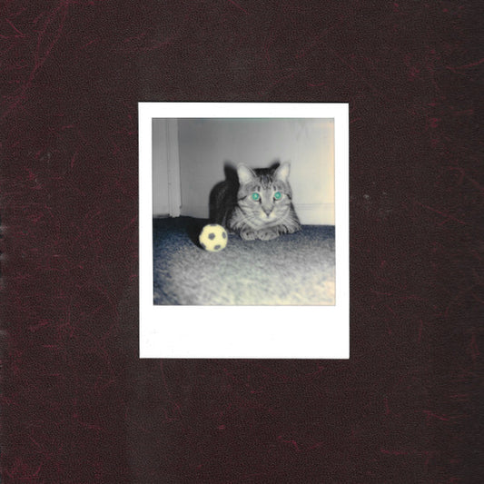 The Goalie'S Anxiety At The Penalty Kick - Ways of Hearing