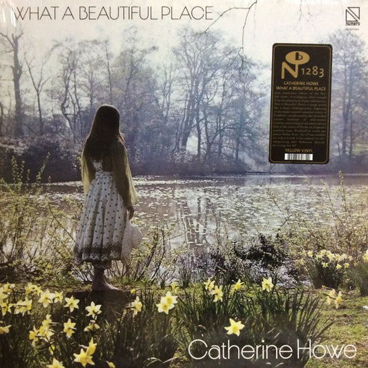 Catherine Howe - What a Beautiful Place (Yellow)