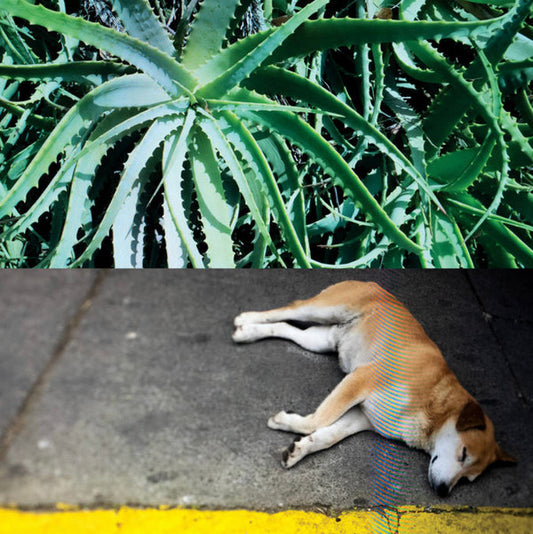 Steve Bates - All The Things That Happen