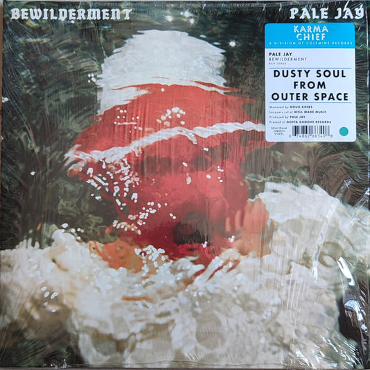 Pale Jay - Bewilderment (Seafoam Green vinyl)