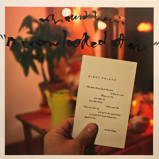 Mount Eerie - A Crow Looked At Me LP