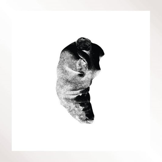 Patricia – Several Shades Of The Same Color 2/3 12"