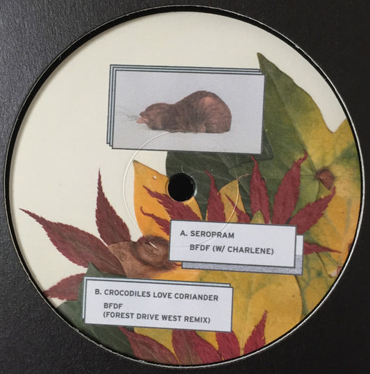 Elise – Leaves From Yoyogi 12"