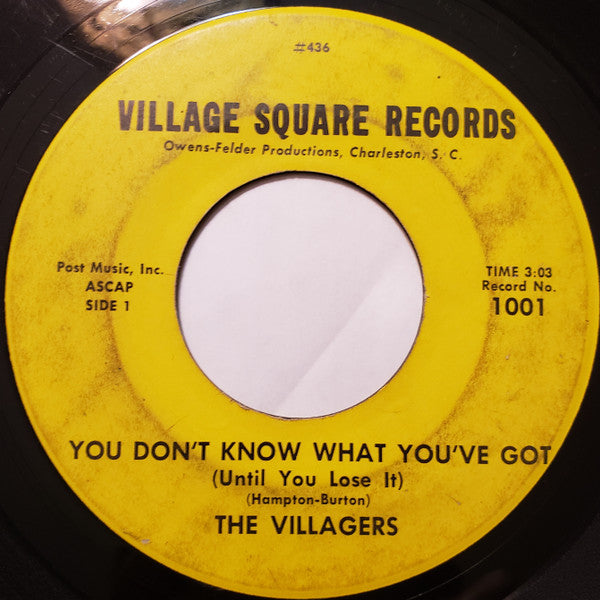 The Villagers – You Don't Know What You've Got (Until You Lose It) 7"