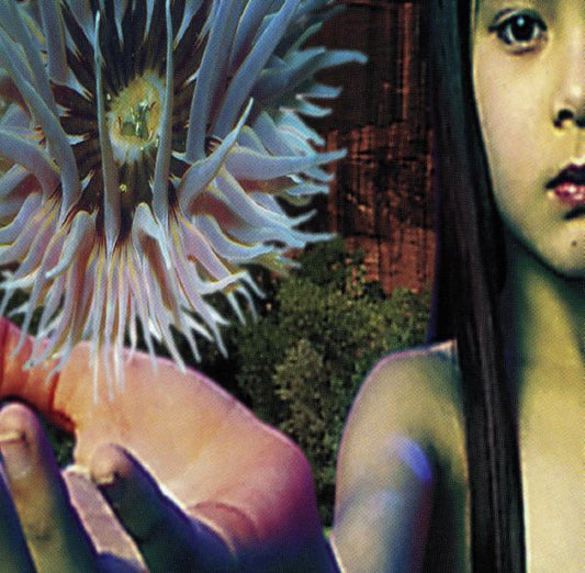 The Future Sound Of London – Lifeforms 2 CD