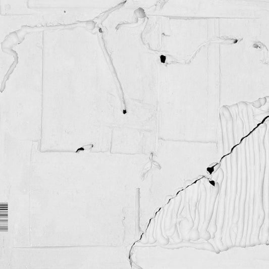 Belia Winnewisser – Radikale Akzeptanz LP