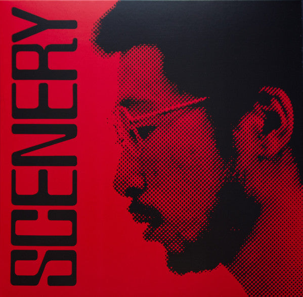 Ryo Fukui – Scenery (Half-Speed Cut) LP