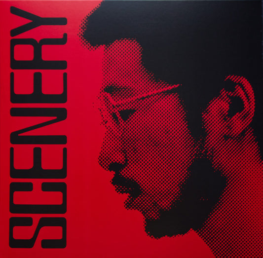 Ryo Fukui – Scenery (Half-Speed Cut) LP