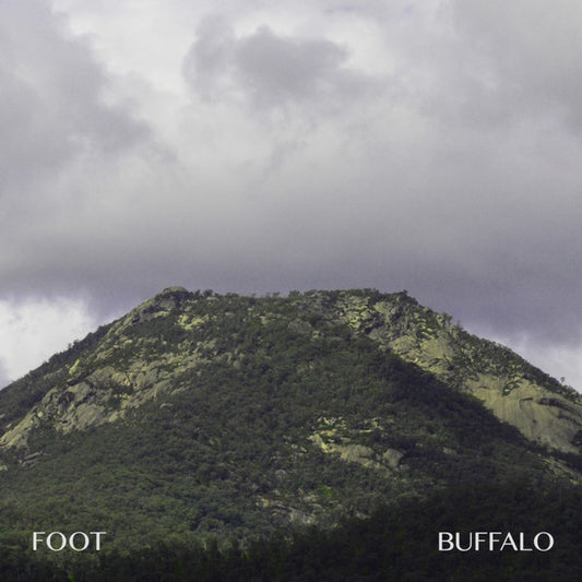 Foot - Buffalo (Cosmic Landscape) LP