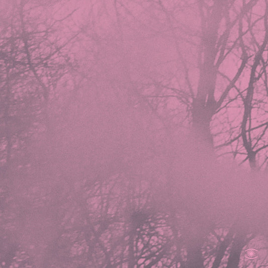 Prins Emanuel – Diagonal Muzik