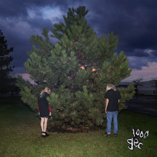 100 Gecs – 1000 Gecs LP