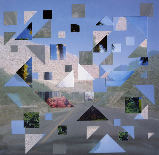 Growing – Vision Swim LP