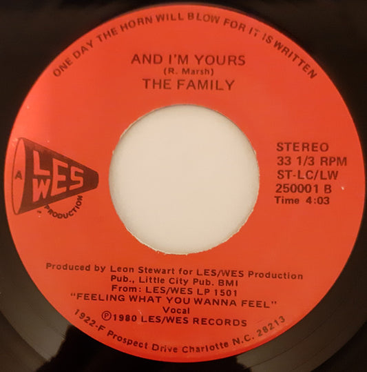 The Family - Music / And I'm Yours 7"