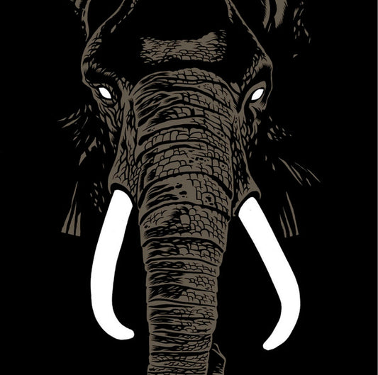 Palm Unit - Don't Buy Ivory Anymore