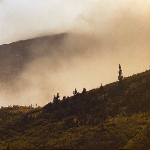 Lord Buffalo – Tohu Wa Bohu (Green Black Marbled) LP