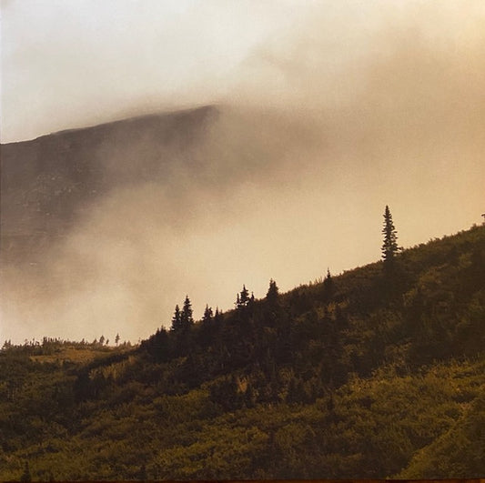 Lord Buffalo – Tohu Wa Bohu (Green Black Marbled) LP