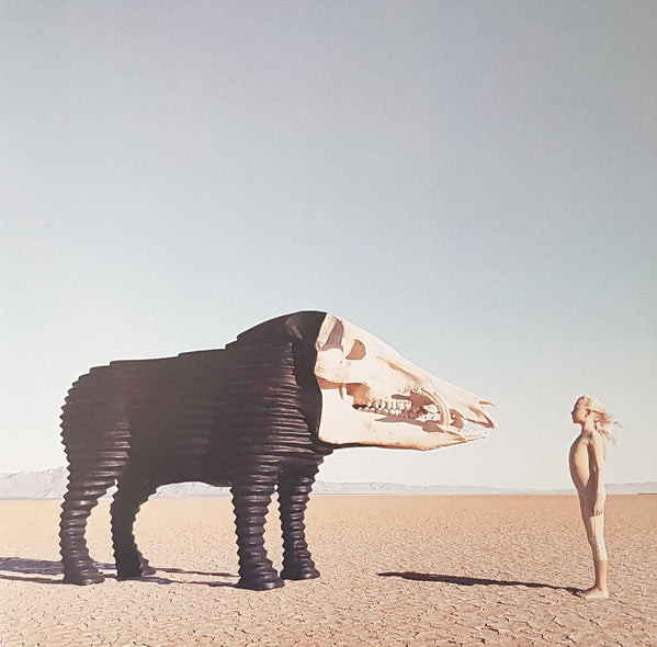 Man Man – Dream Hunting In The Valley Of The In-Between (Pink) 2LP