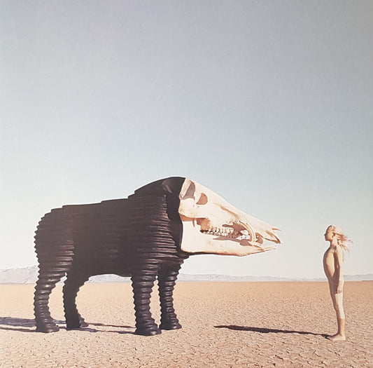 Man Man – Dream Hunting In The Valley Of The In-Between (Pink) 2LP