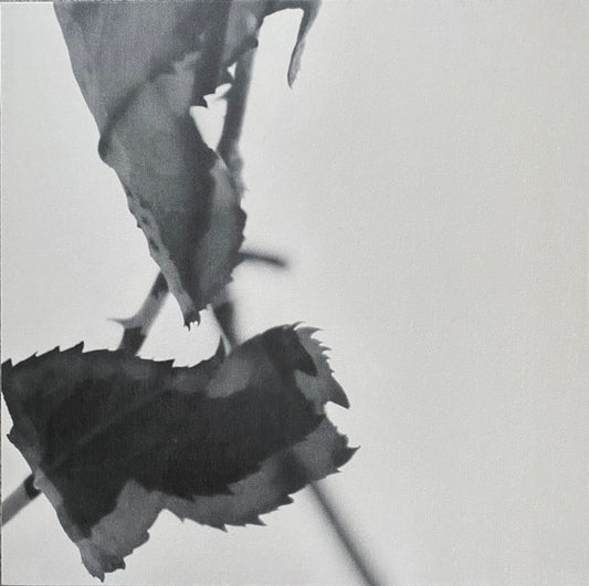 Kara-Lis Coverdale - Grafts (Gold vinyl, extended) LP