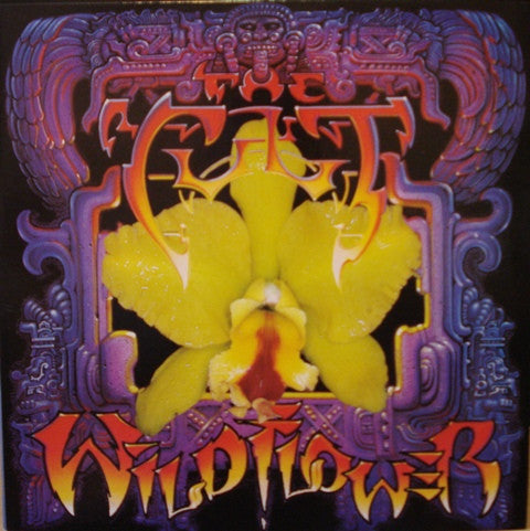The Cult - Wild Flower 2x12"