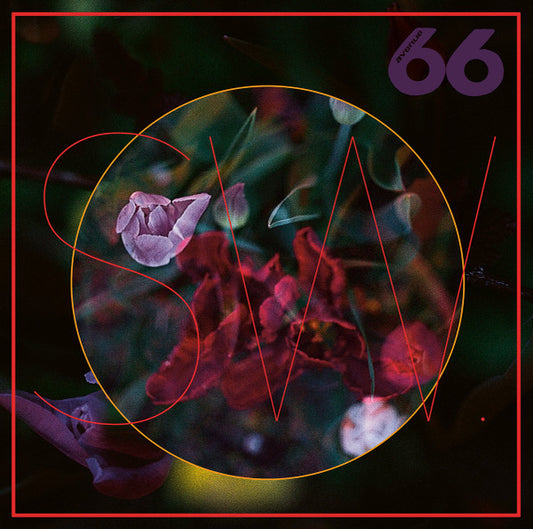 SW. – TRUElipS 2 12"