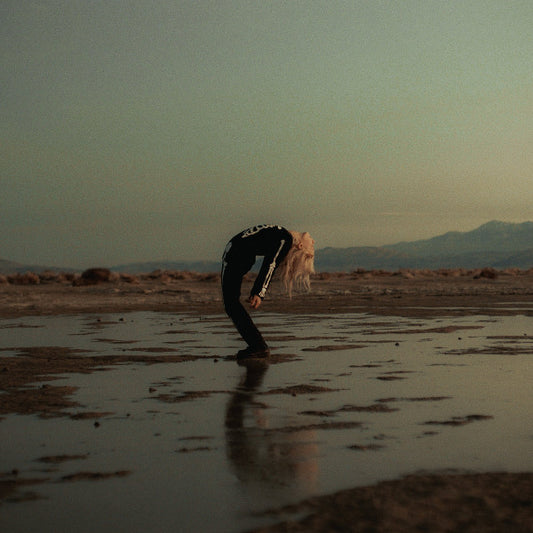 Phoebe Bridgers, Rob Moose – Copycat Killer (Mountain Blast) EP
