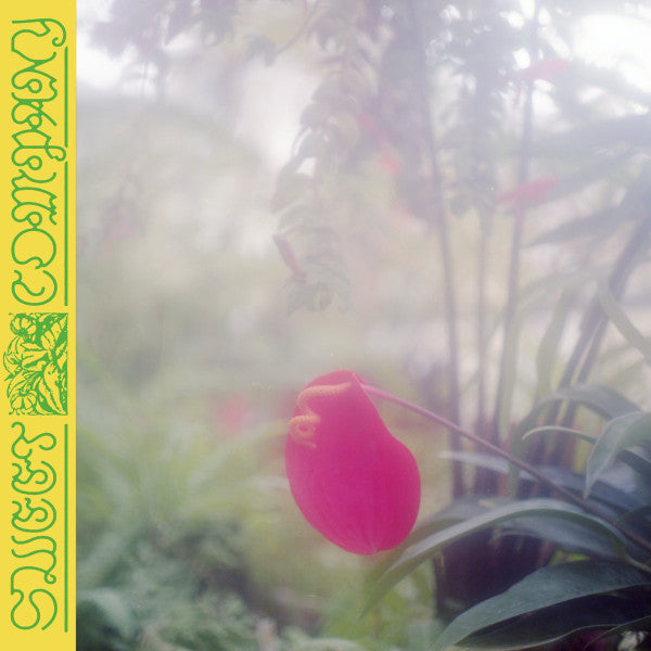 Jabu - Sweet Company LP