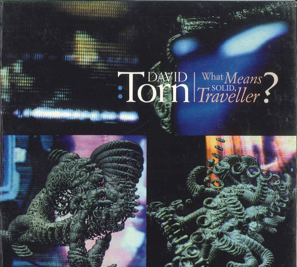 David Torn – What Means Solid, Traveller? CD