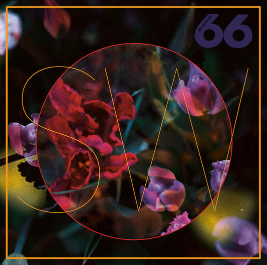 SW. – BlewLIPS LP