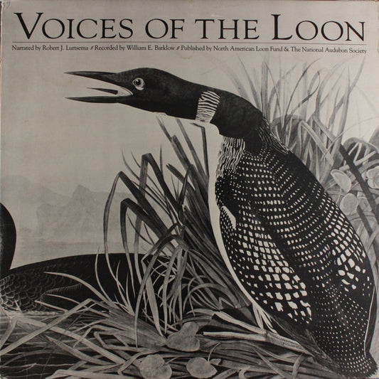 National Audubon Society - Voices Of The Loon LP