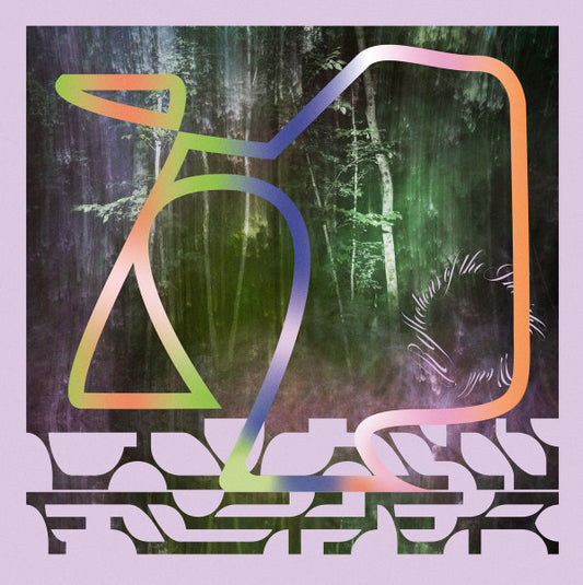 Colin Fisher – Reflections Of The Invisible World (Purple) LP