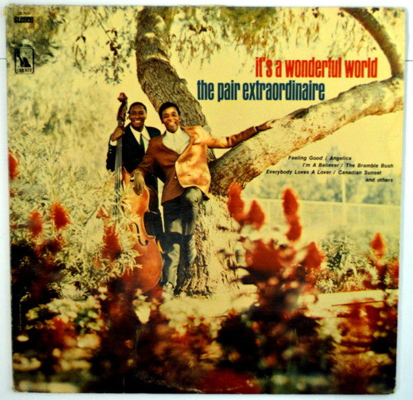 The Pair Extraordinaire – It's A Wonderful World LP