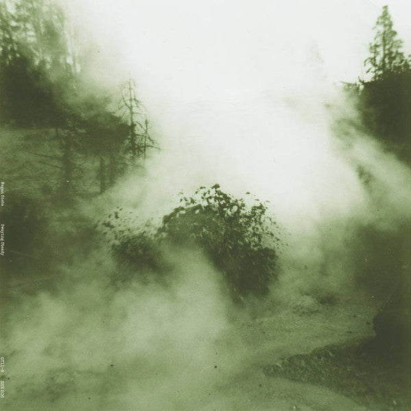 Megan Siebe – Swaying Steady LP
