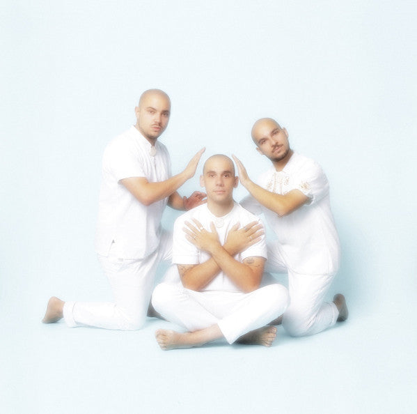 The Pilotwings – Les Charismatiques 2x12"