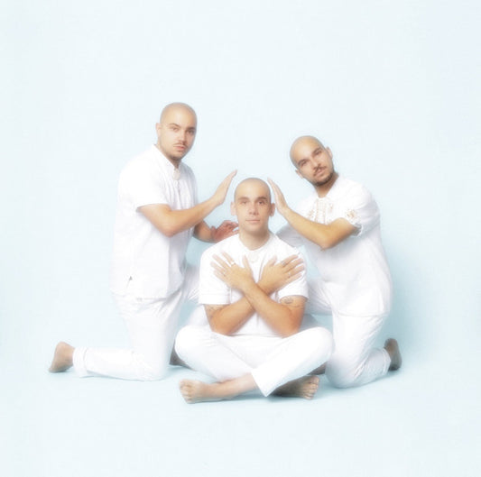 The Pilotwings – Les Charismatiques 2x12"