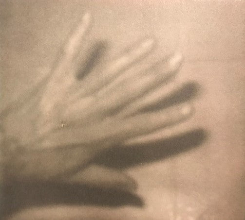 Grouper – Shade