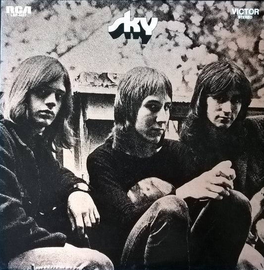 Sky - Don't Hold Back LP
