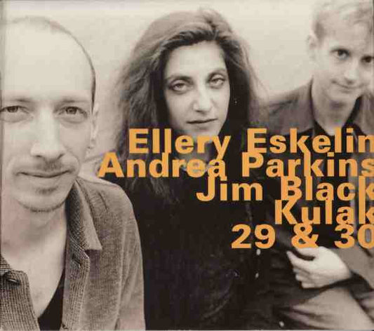 Ellery Eskelin with Andrea Parkins & Jim Black – Kulak, 29 & 30 CD