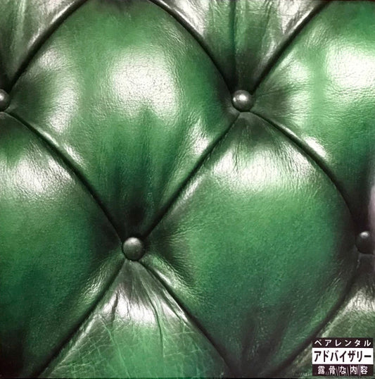 SonnyJim X Camoflauge Monk – Money Green Leather Sofa LP