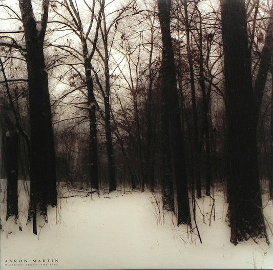 Aaron Martin - Worried About The Fire LP