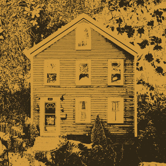Gold Dust – The Late Great Gold Dust LP