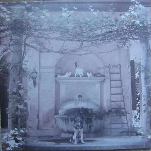 The Dues / Restock ‎– Cat / Dog LP