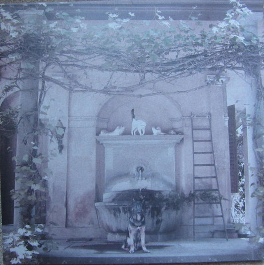 The Dues / Restock ‎– Cat / Dog LP