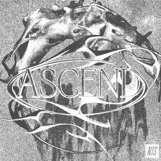 Various - Ascend