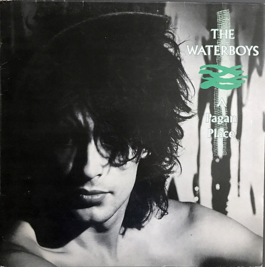 The Waterboys - Pagan Place LP