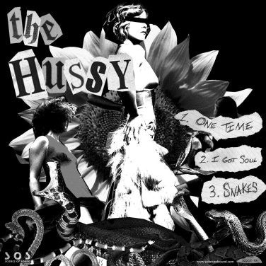 The Hussy and Sleeping In The Aviary – Split 7"